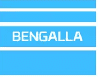 Bengalla-Mining-Company-Pty-Ltd-01-01